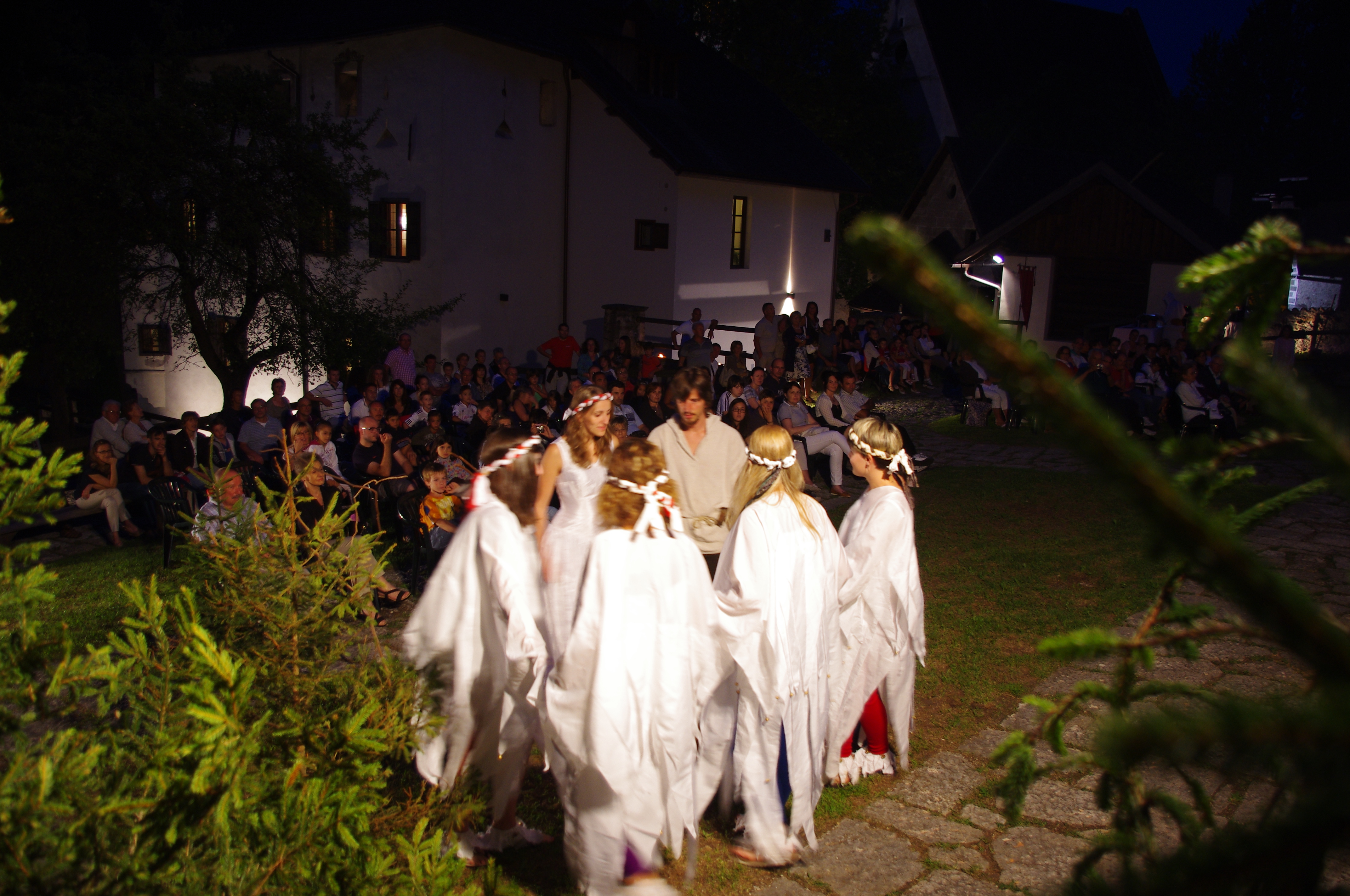 Spettacolo: canopi e guane | Bergknappen Primör